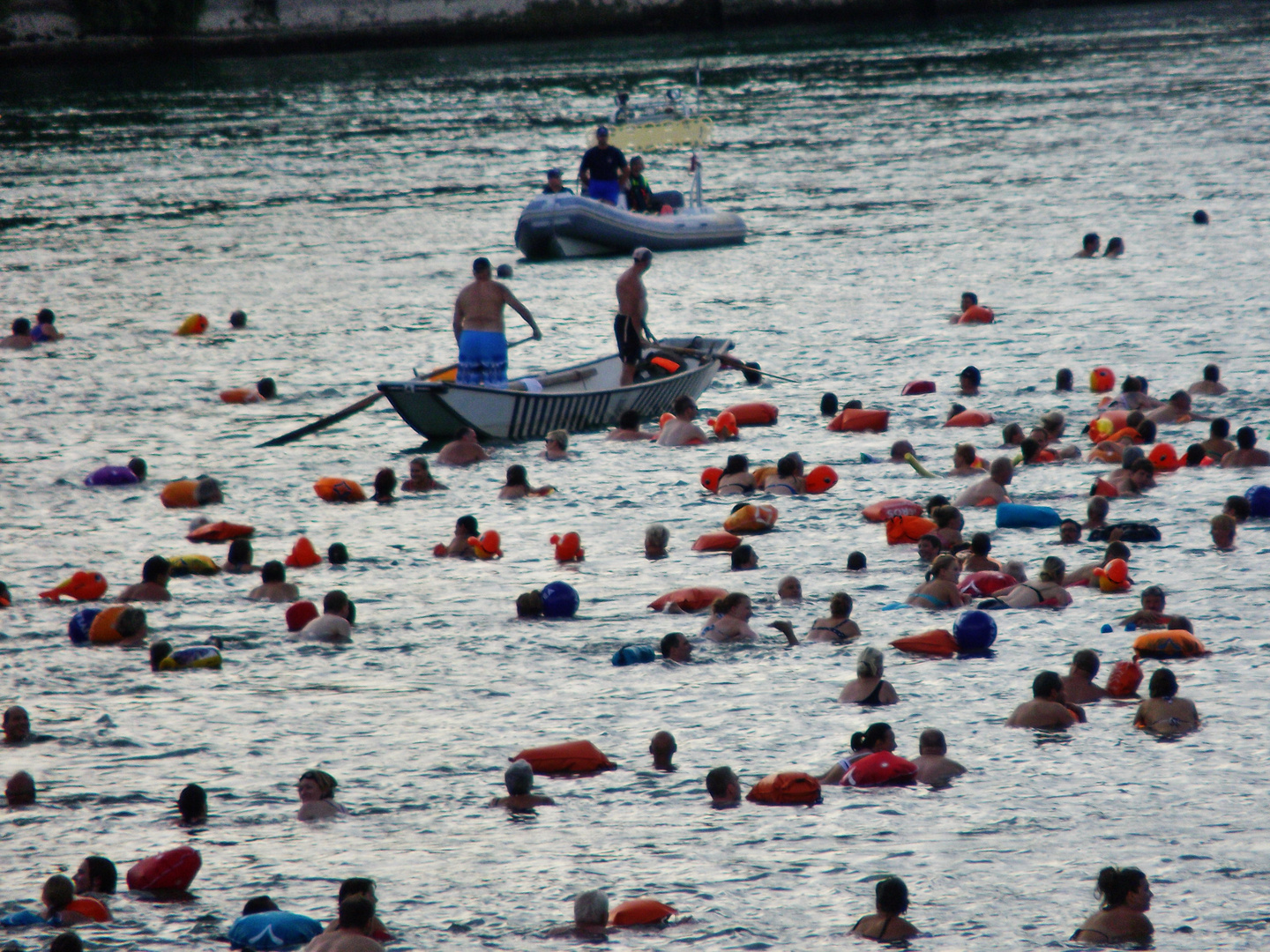 Rheinschwimmen in Basel am 14.8.2012