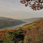 Rheinsteigtour von Lorch nach Rüdesheim am 21. 10.12.