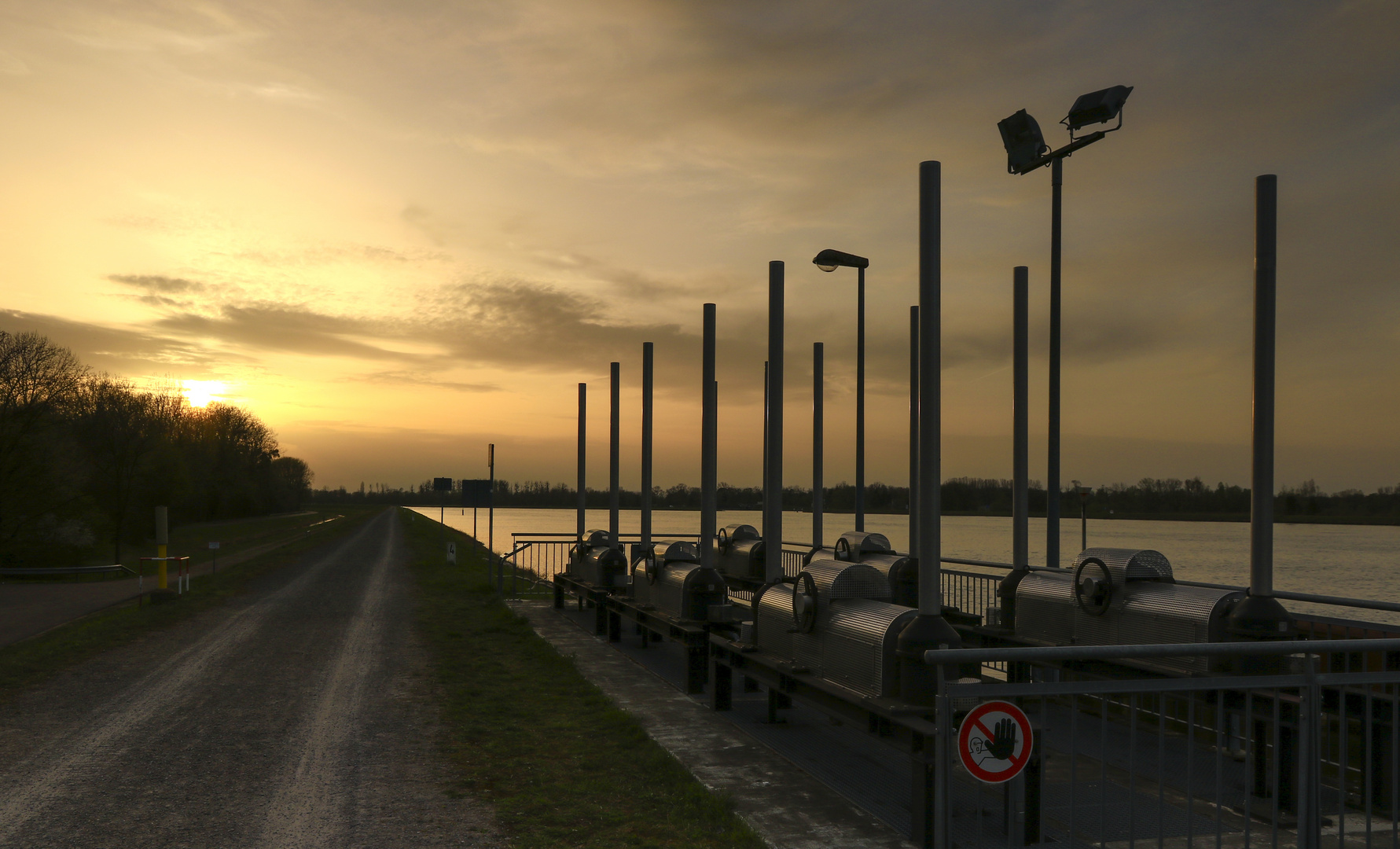 Rheinstimmung am Hochwasser-Polder