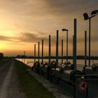 Rheinstimmung am Hochwasser-Polder