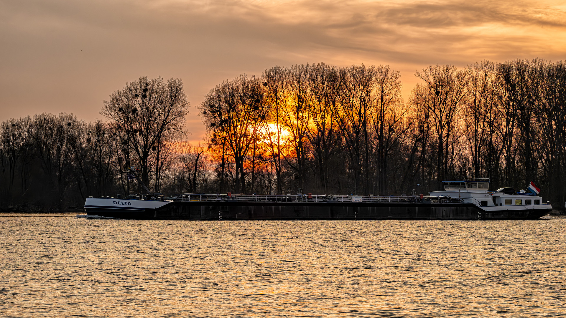 Rheinstimmung mit Frachtschiff