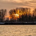 Rheinstimmung mit Frachtschiff