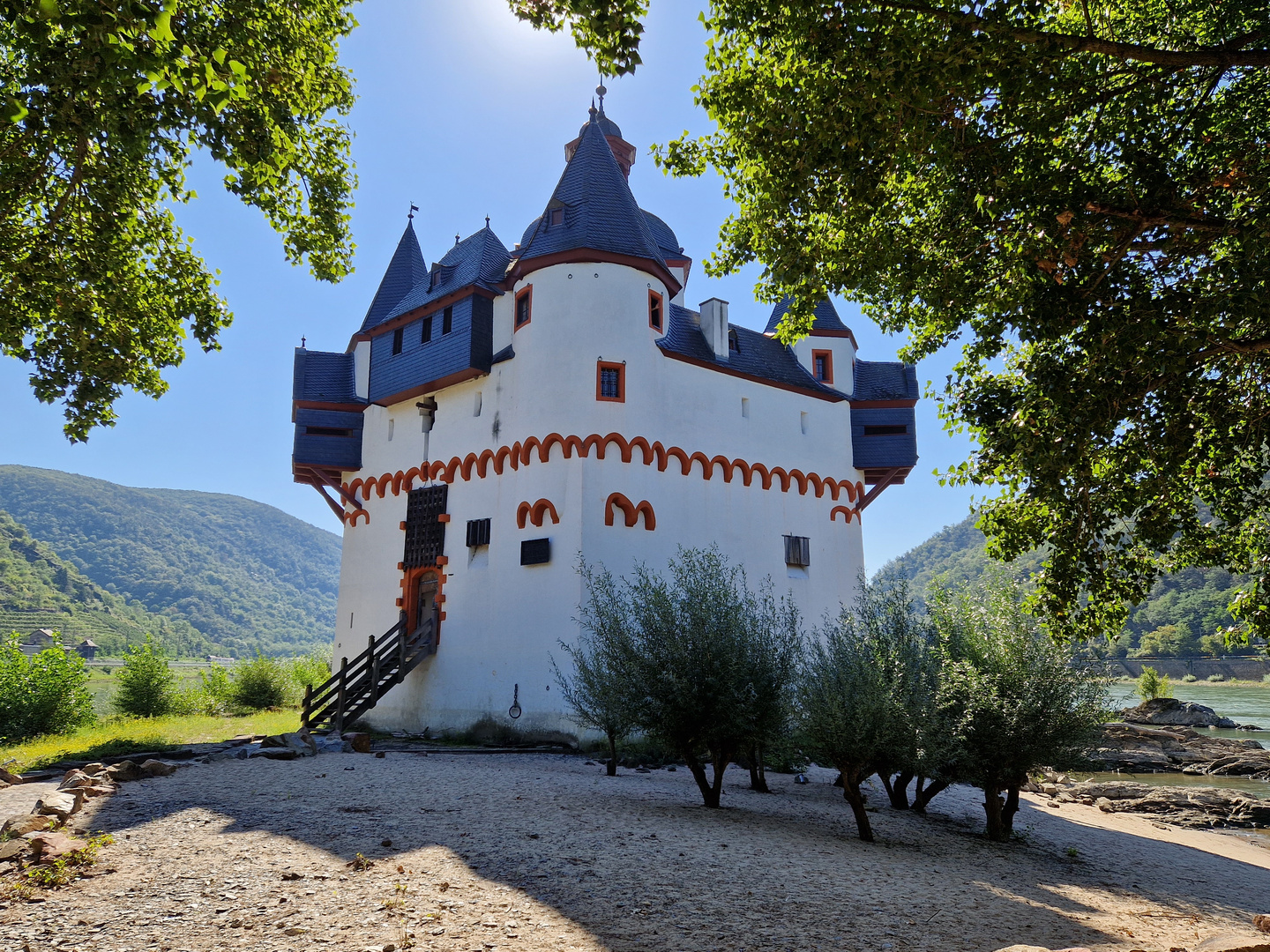 Rheinstrand mit Vegetation