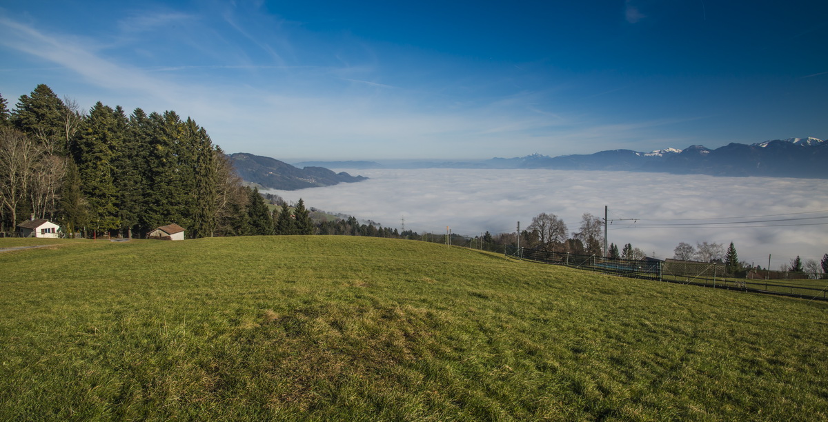 Rheintal im Nebel