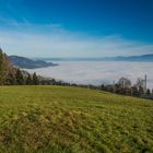 Rheintal im Nebel