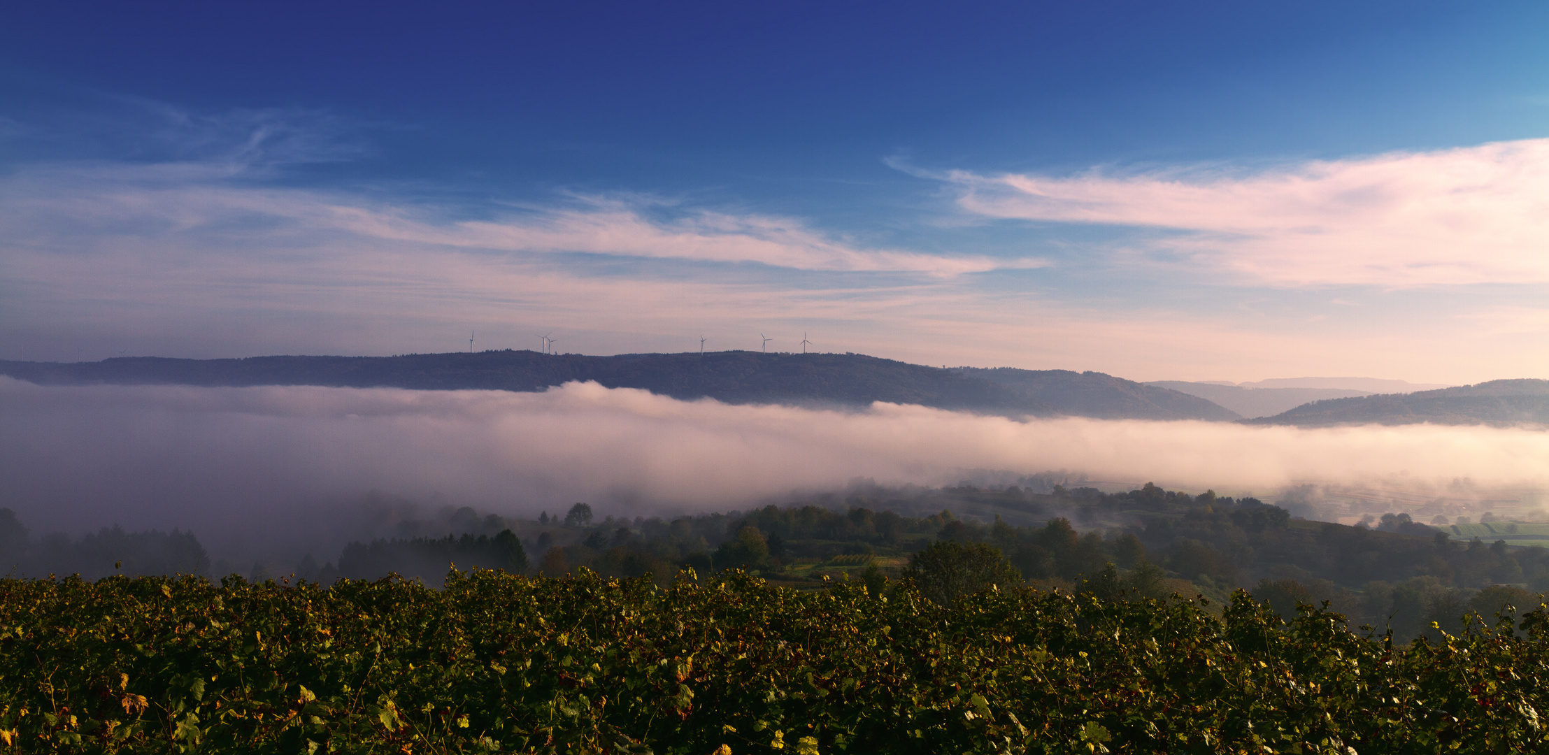 Rheintal im Nebel