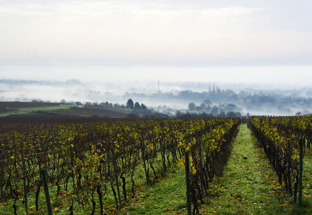 Rheintal im Nebel