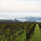 Rheintal im Nebel