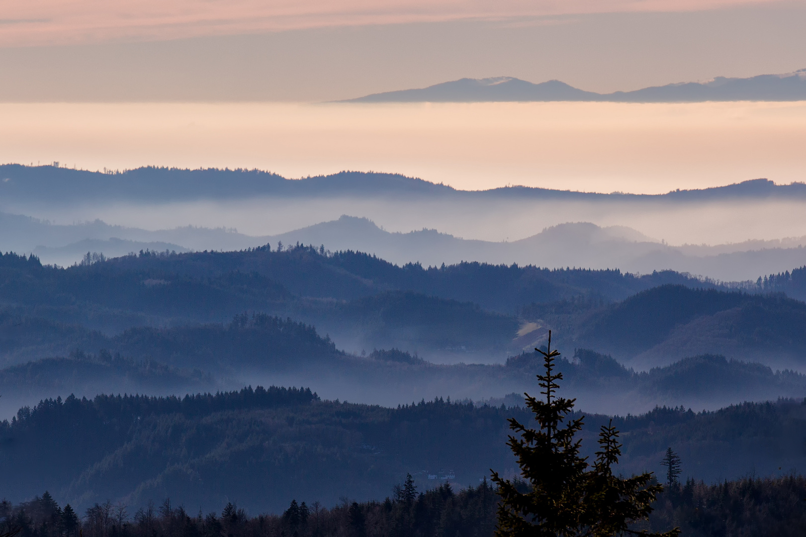 Rheintal im Nebel