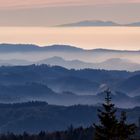 Rheintal im Nebel