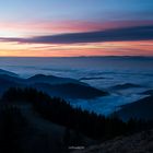 Rheintal | Nebel | Sonnenuntergang