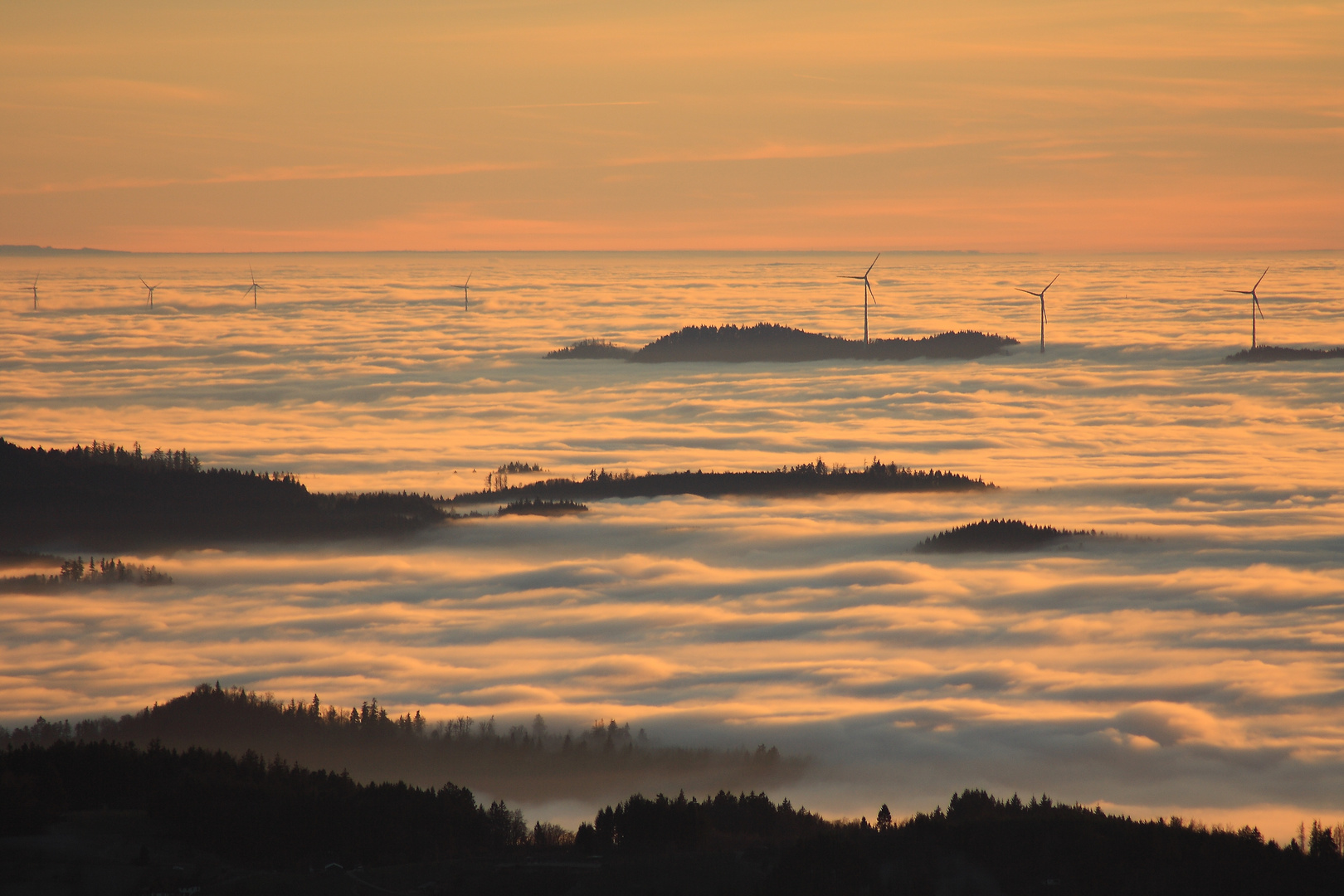 Rheintalnebel in der Abendsonne