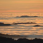 Rheintalnebel in der Abendsonne