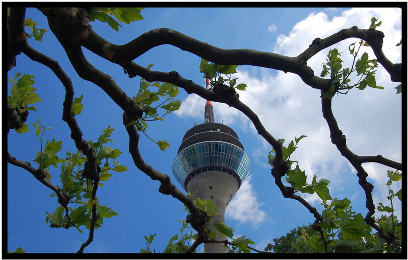 Rheinturm