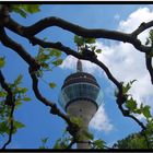 Rheinturm