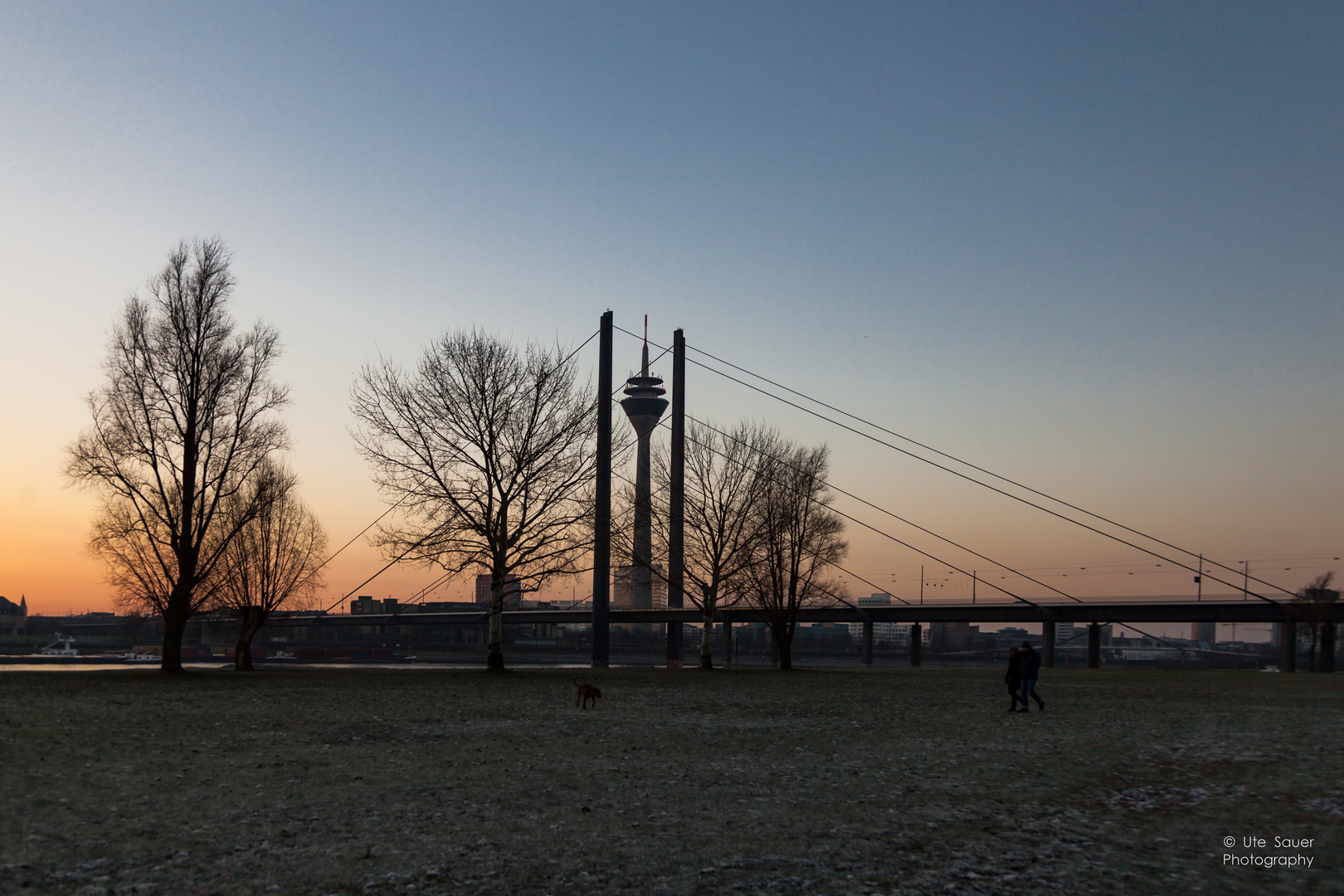 Rheinturm Düsseldorf kurz vor dem Sonnenaufgang