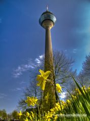 Rheinturm