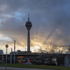 Rheinturm im Gegenlicht