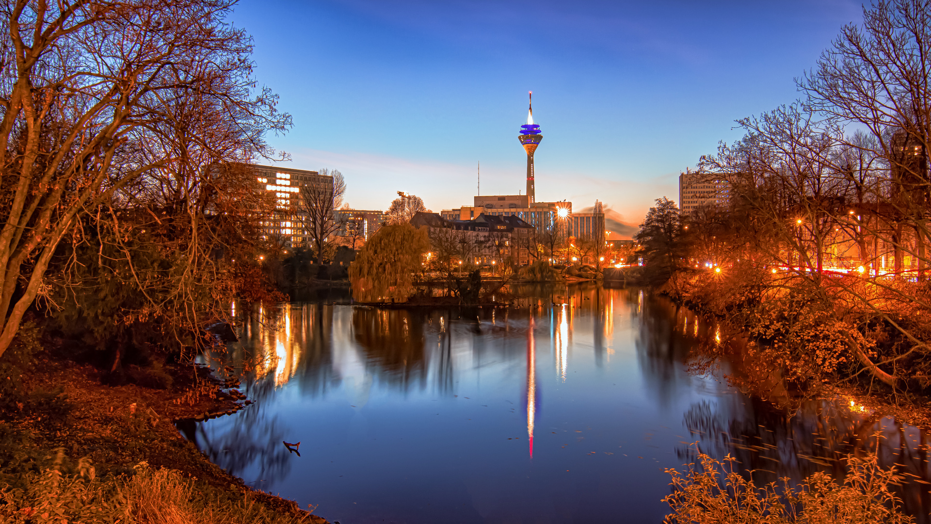 Rheinturm im Park