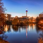 Rheinturm im Park