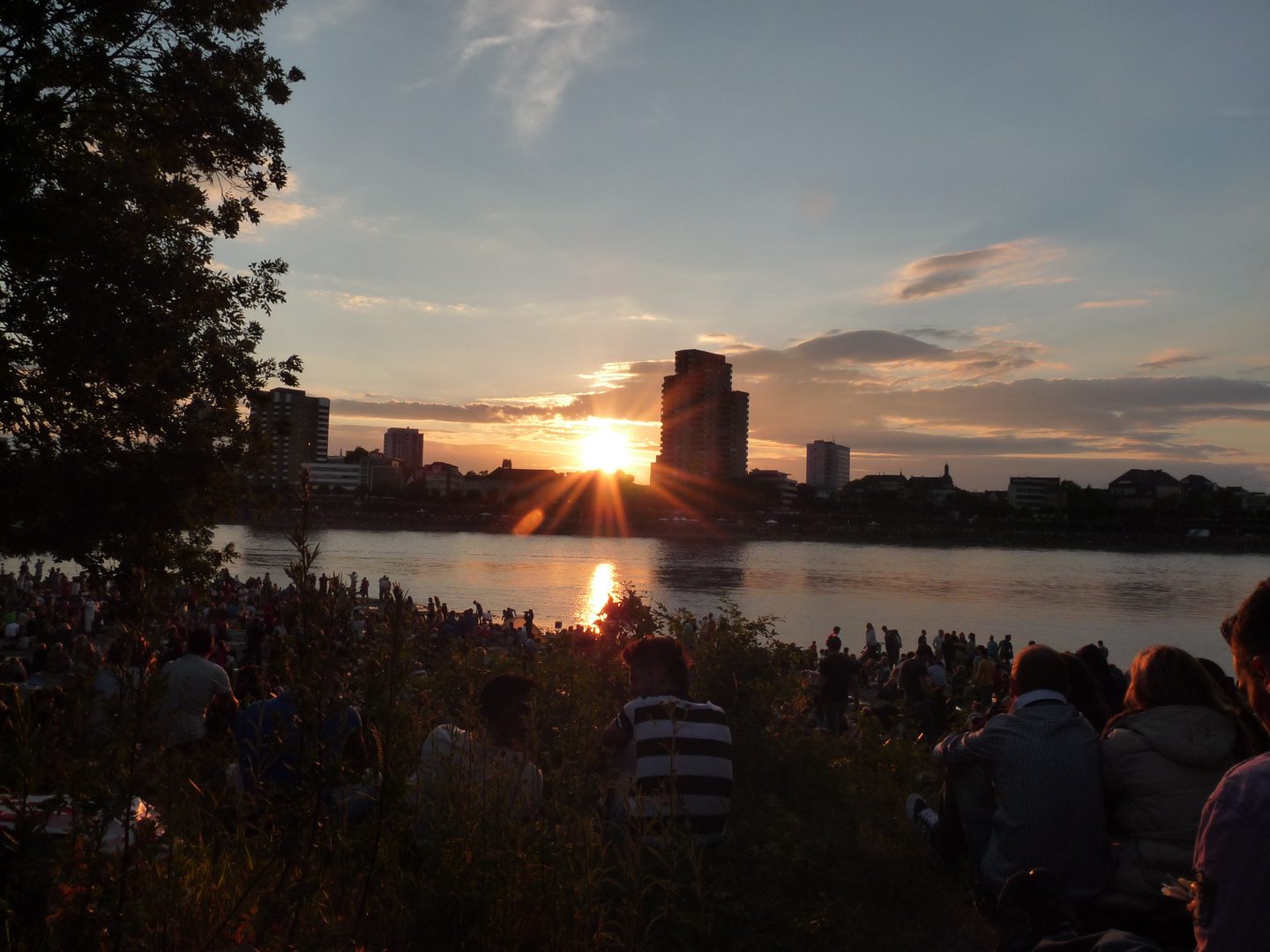 Rheinufer im Sonnenuntergang