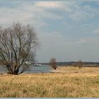 Rheinufer in Düsseldorf-Benrath im Frühling