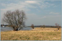 Rheinufer in Düsseldorf-Benrath im Frühling