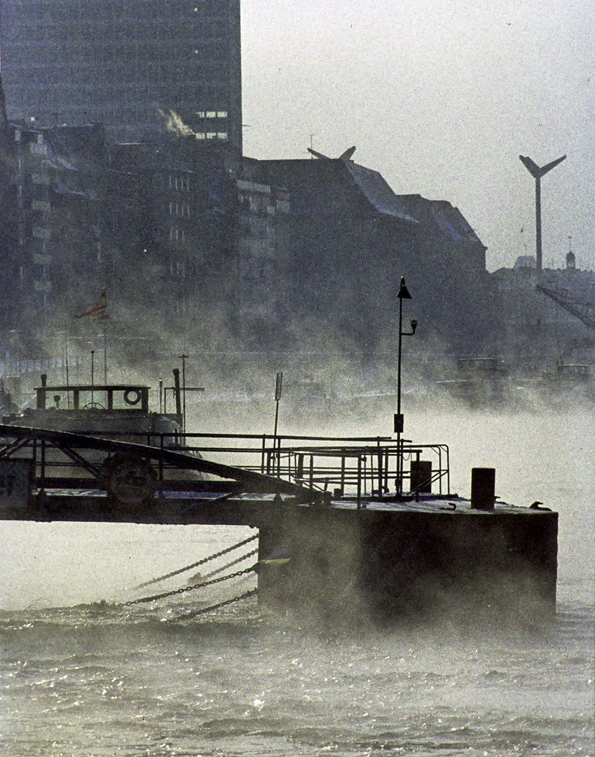 Rheinufer in Düsseldorf