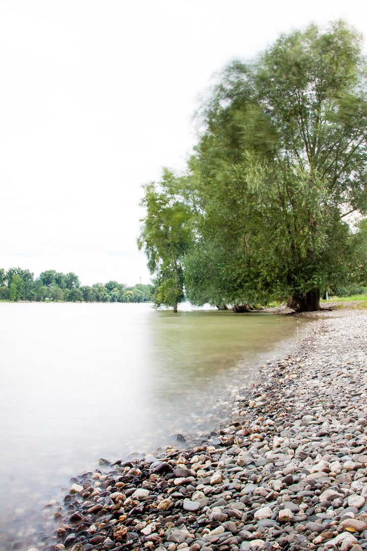 rheinufer in köln