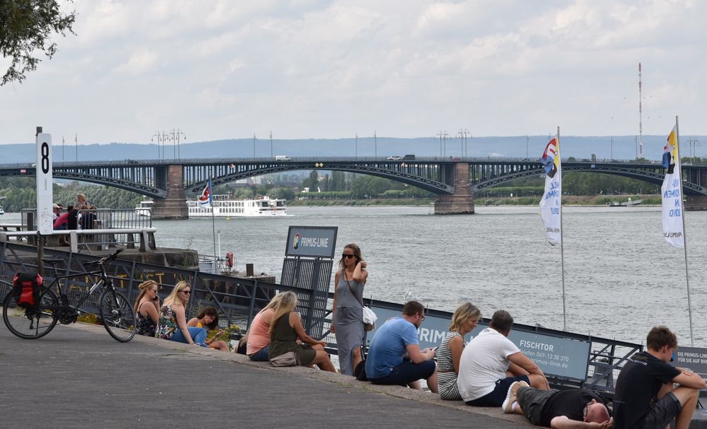Rheinufer Mainz Foto & Bild fotos, people, street Bilder auf