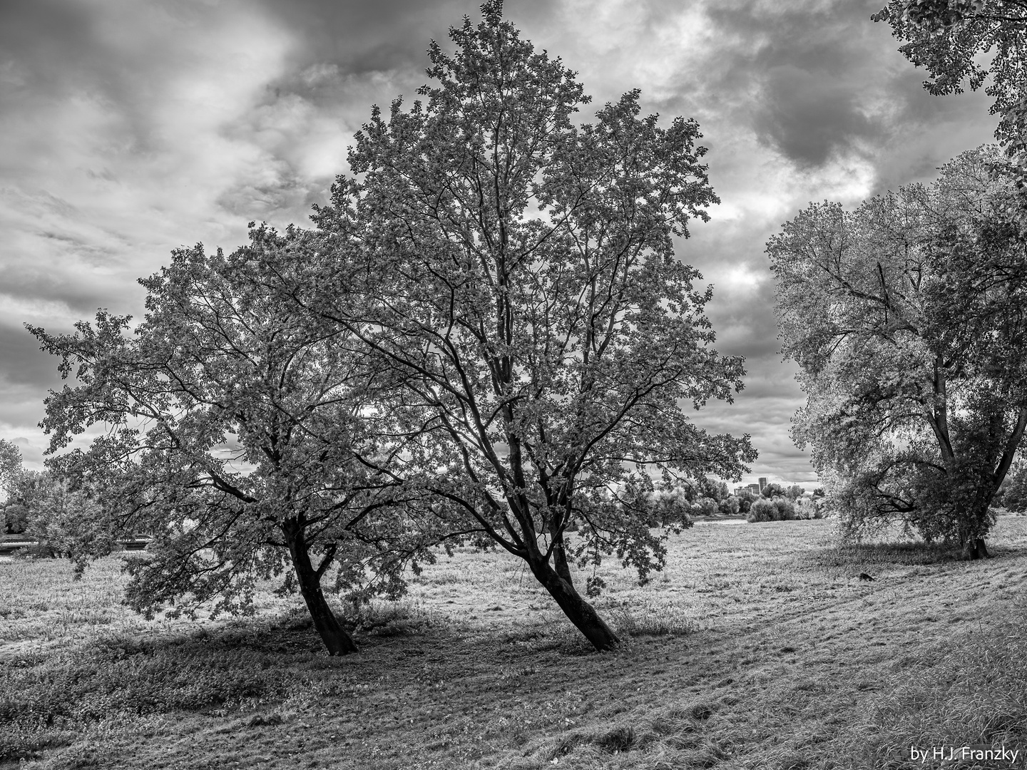 Rheinuferherbst sw