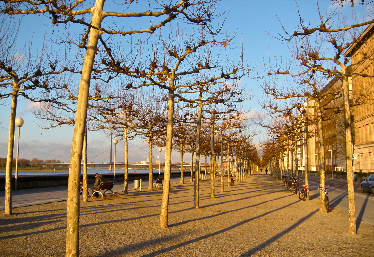 Rheinuferpromenade