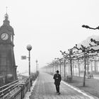 Rheinuferpromenade