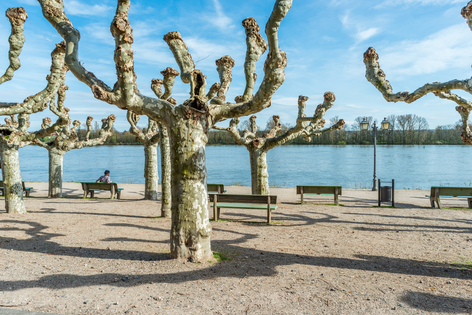 Rheinuferpromenade in Eltville