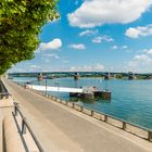 Rheinuferpromenade Mainz 65