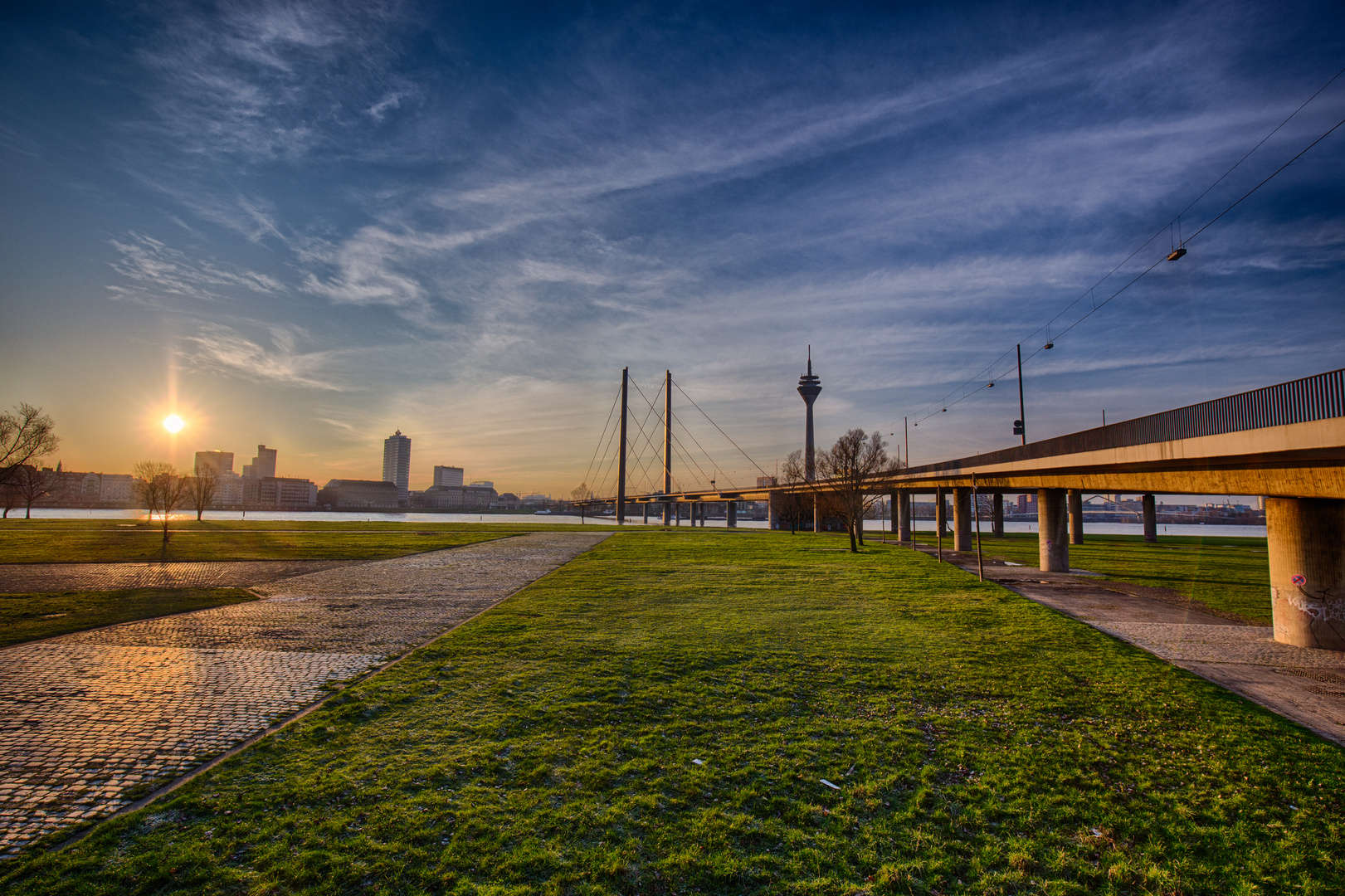 Rheinwiesen am Morgen