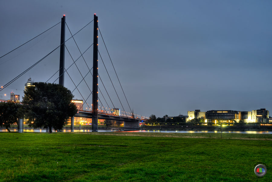 Rheinwiesen Düsseldorf mit Blick auf den Medienhafen