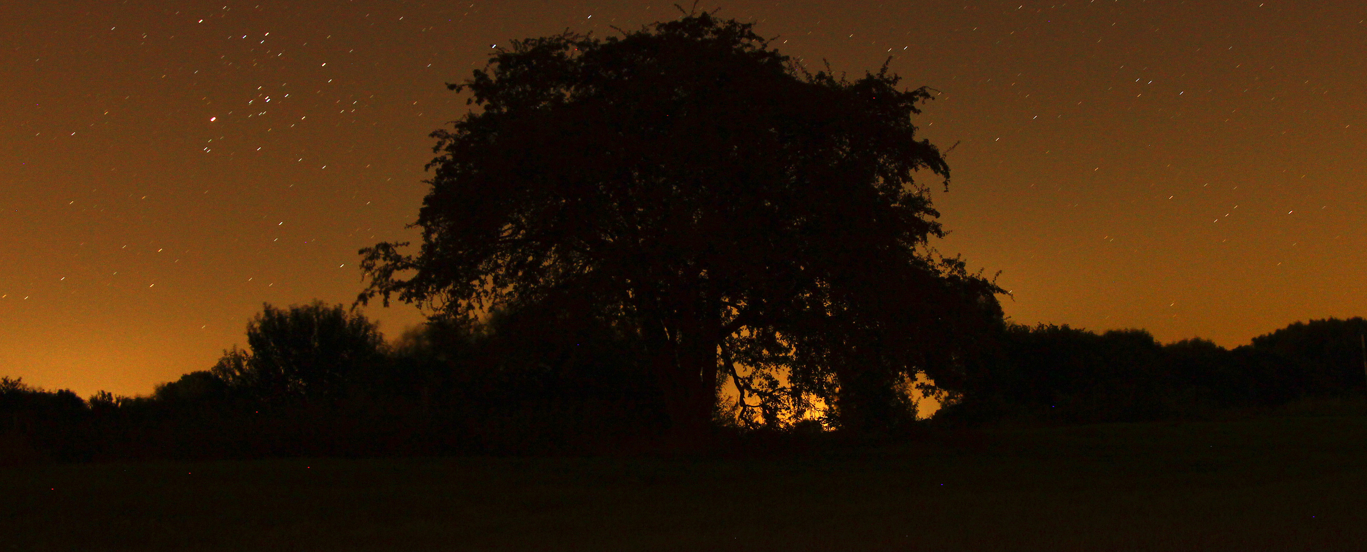 Rheinwiesen in der Nacht