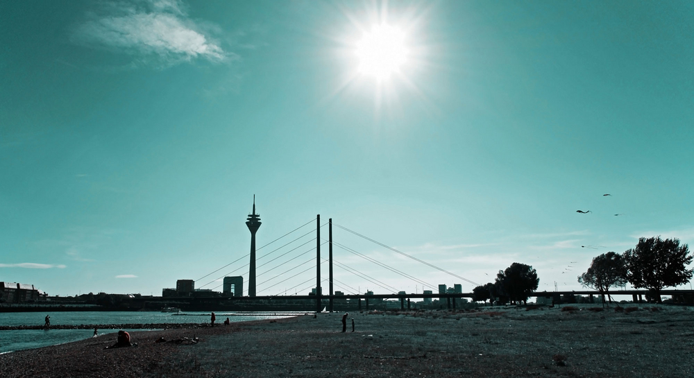 rheinwiesen sommerzeit