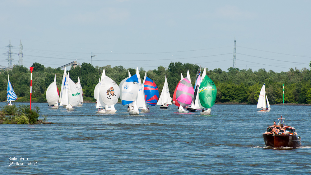 Rheinwoche unter Spinaker 2