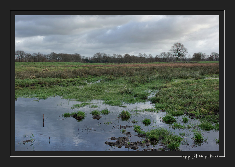 Rhener Moor im Dezember (1)