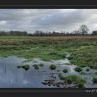 Rhener Moor im Dezember (1)