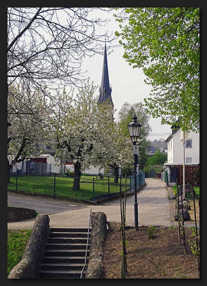 Rhenser Frühling