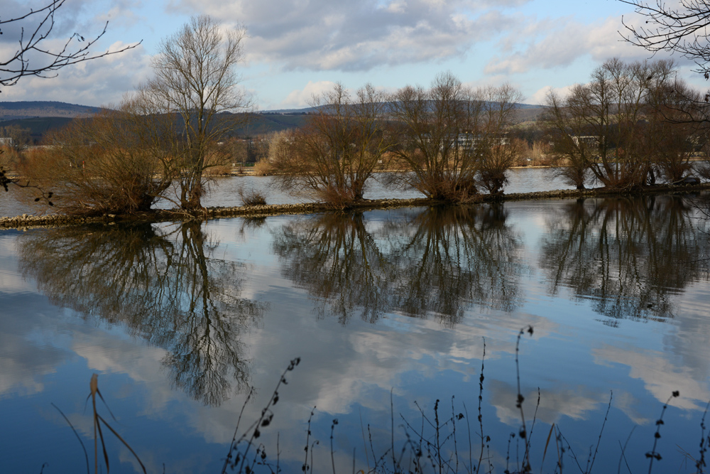 Rhenus Foto & Bild natur, rhein, landschaft Bilder auf