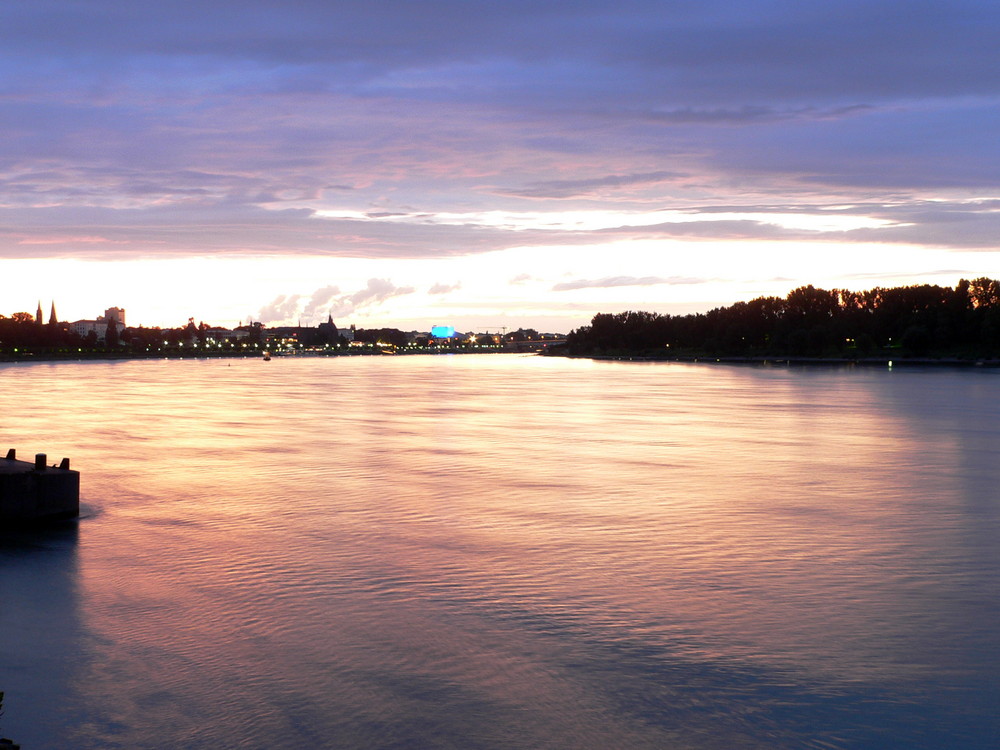 Rhin de nuit