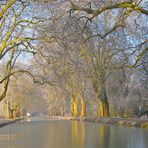 ...Rhin -Rhône Canal..