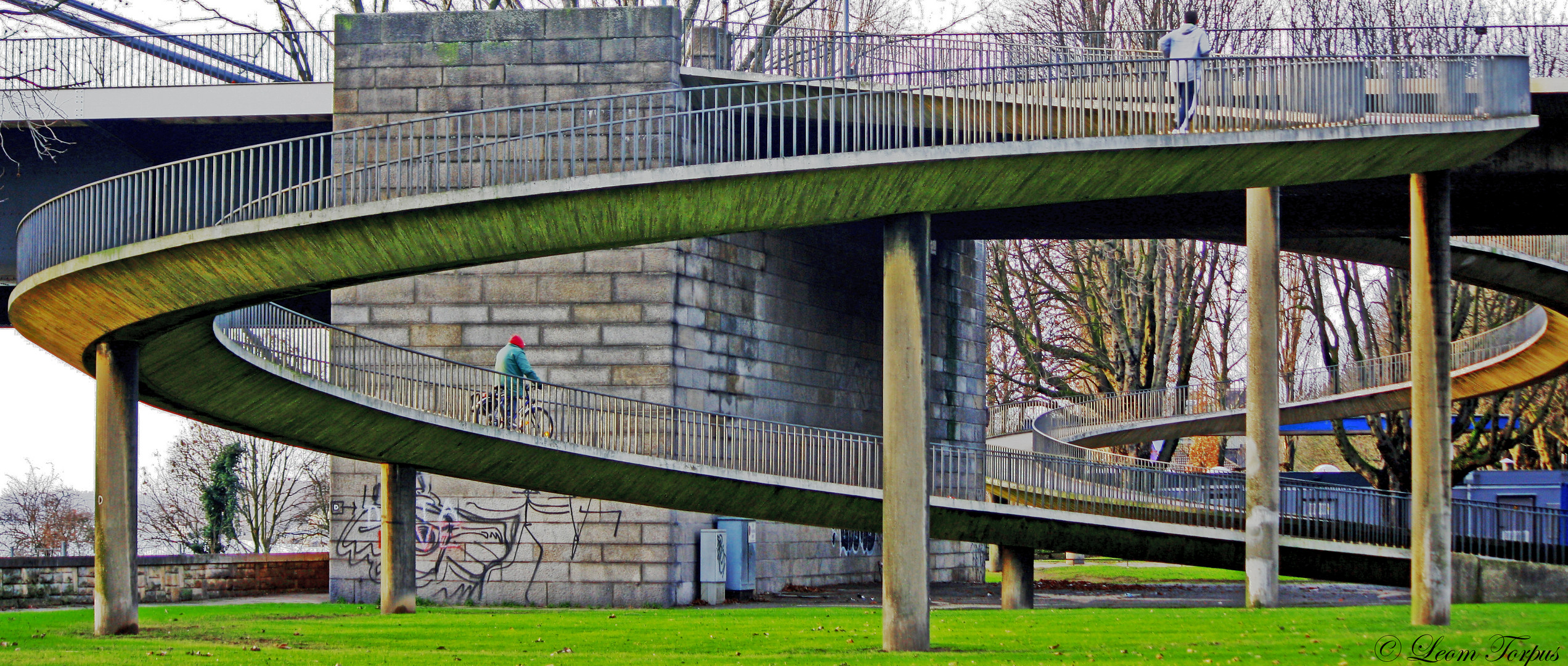 Rhine Bridge