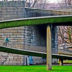 Rhine Bridge