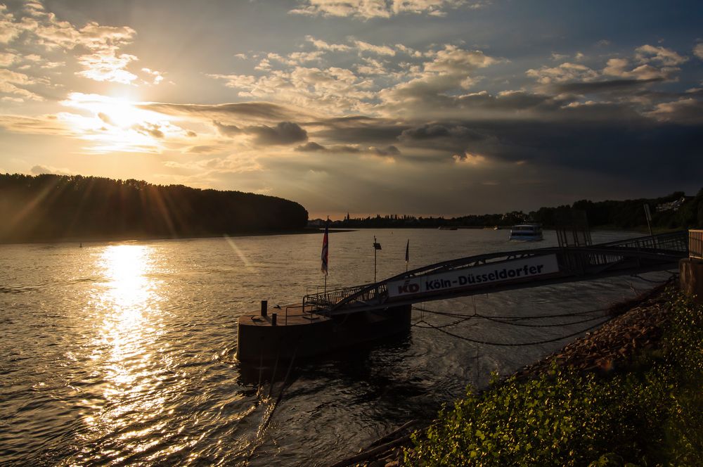 Rhine Cologne