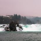 Rhine Falls